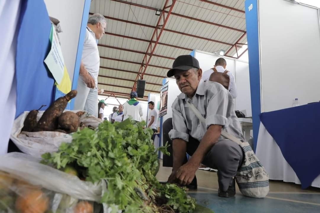 La Industria Licorera del Cauca participó en la Feria de Economías Campesinas en el municipio del Patia1