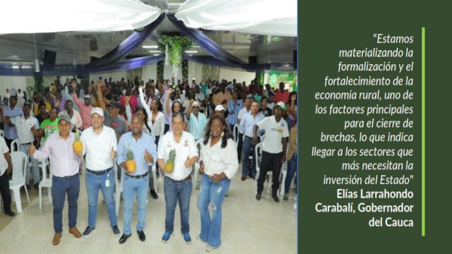 La piña de la paz, se cultiva en el Norte del Cauca