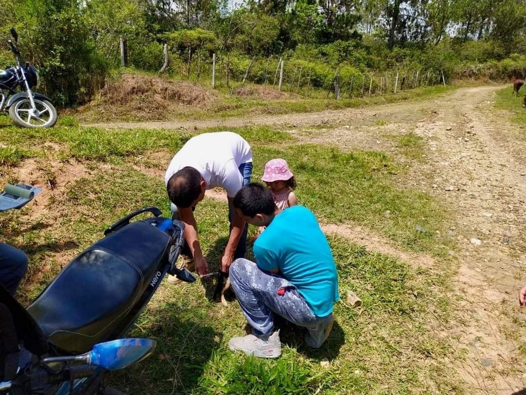 Las mascotas, y los animales en general, también necesitan de vacunas para prevenir enfermedades - Quilisalud10