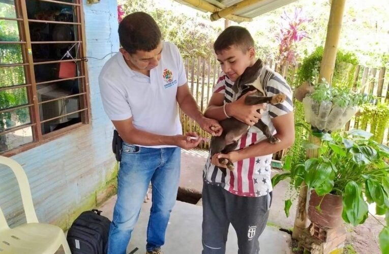 Las mascotas, y los animales en general, también necesitan de vacunas para prevenir enfermedades