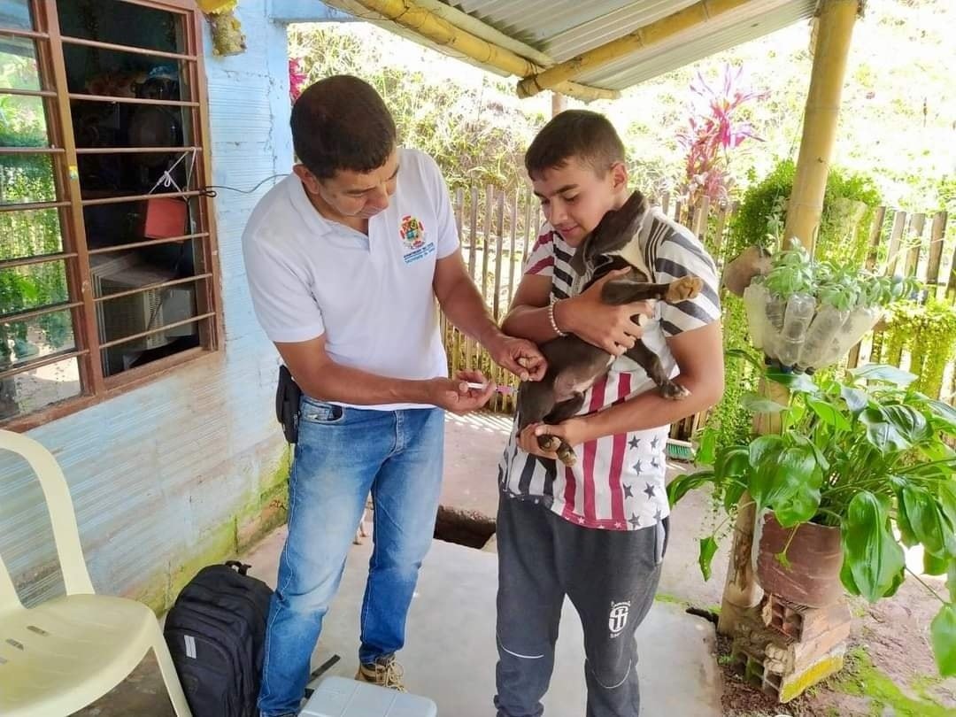 Las mascotas y los animales en general tambien necesitan de vacunas para prevenir enfermedades Quilisalud12