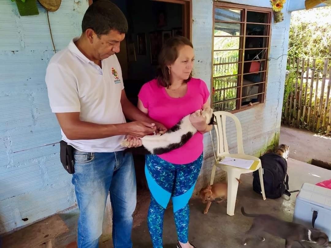 Las mascotas, y los animales en general, también necesitan de vacunas para prevenir enfermedades - Quilisalud6