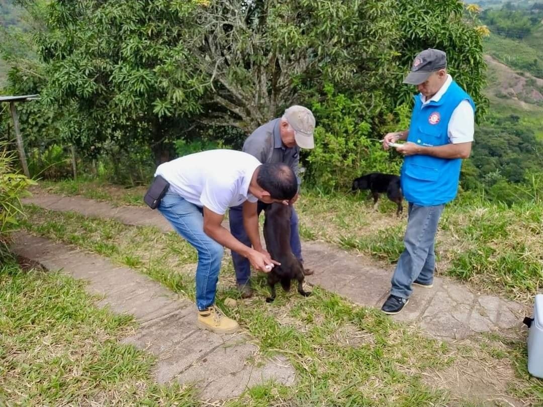 Las mascotas, y los animales en general, también necesitan de vacunas para prevenir enfermedades - Quilisalud8
