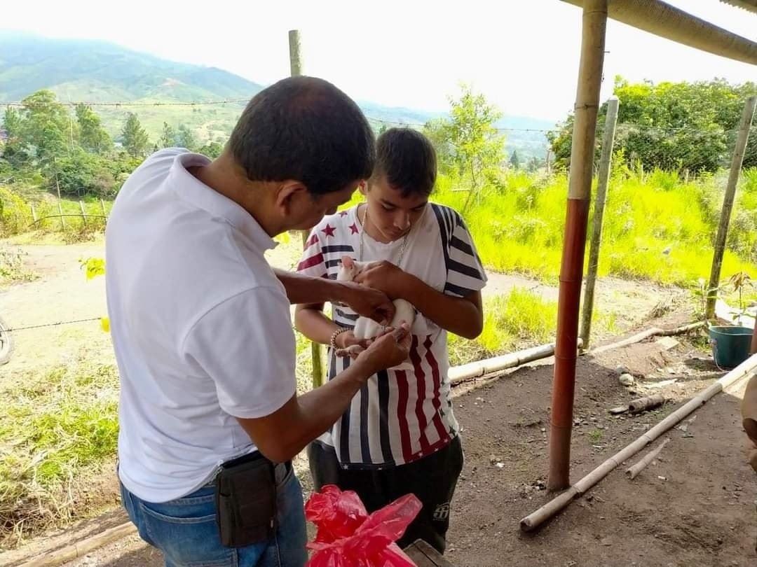 Las mascotas, y los animales en general, también necesitan de vacunas para prevenir enfermedades - Quilisalud9