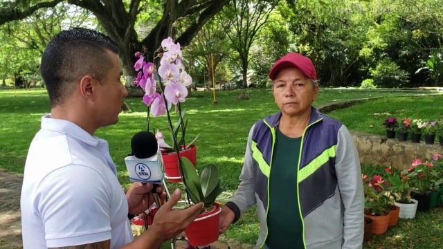 MUJER DE CALOTO CAUCA LOGRO SU EMPRENDIMIENTO VENDIENDO MATAS FLORALES