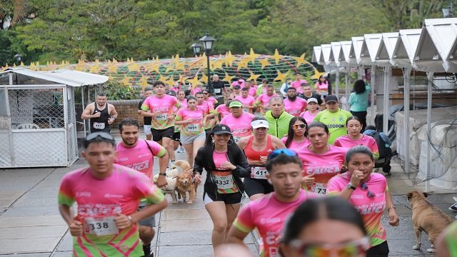 Media Maratón del Cauca 2025 una fiesta deportiva que unió a más de 6.000 participantes