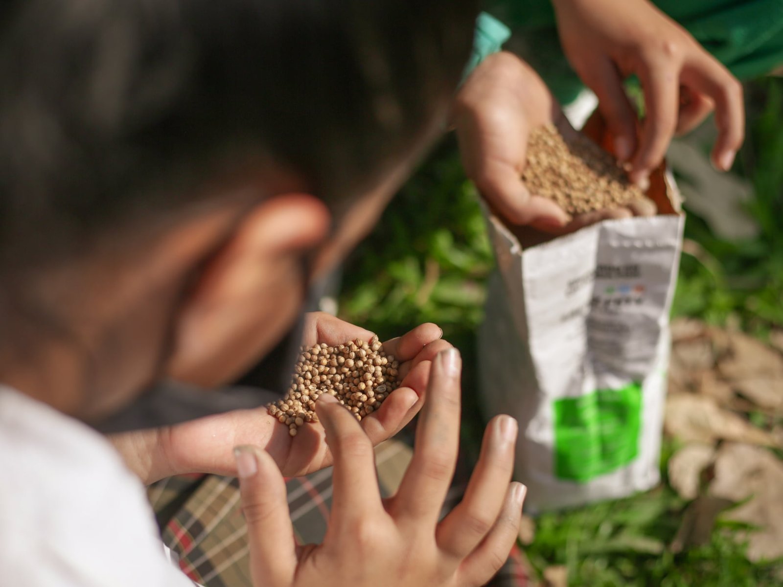 Mejoramiento de la seguridad alimentaria y nutricional de la población vulnerable de las instituciones educativas