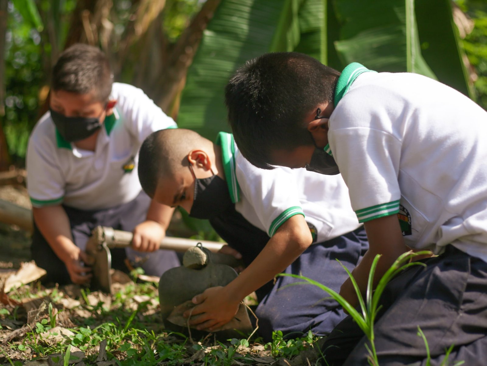 Mejoramiento de la seguridad alimentaria y nutricional de la población vulnerable de las instituciones educativas7