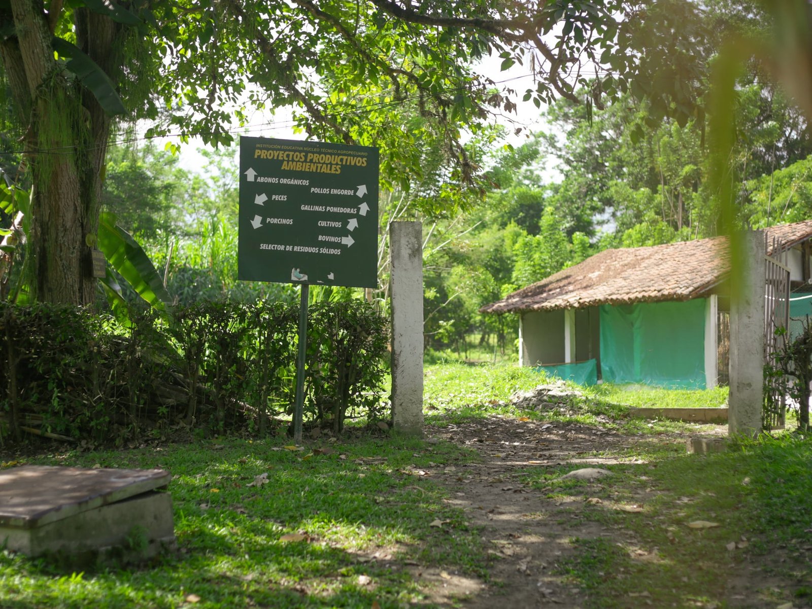 Mejoramiento de la seguridad alimentaria y nutricional de la población vulnerable de las instituciones educativas9
