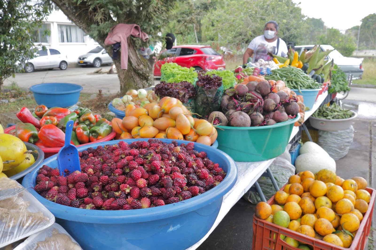 Mercado solidario en las instalaciones de la Secretaría de Agricultura y Desarrollo Rural3