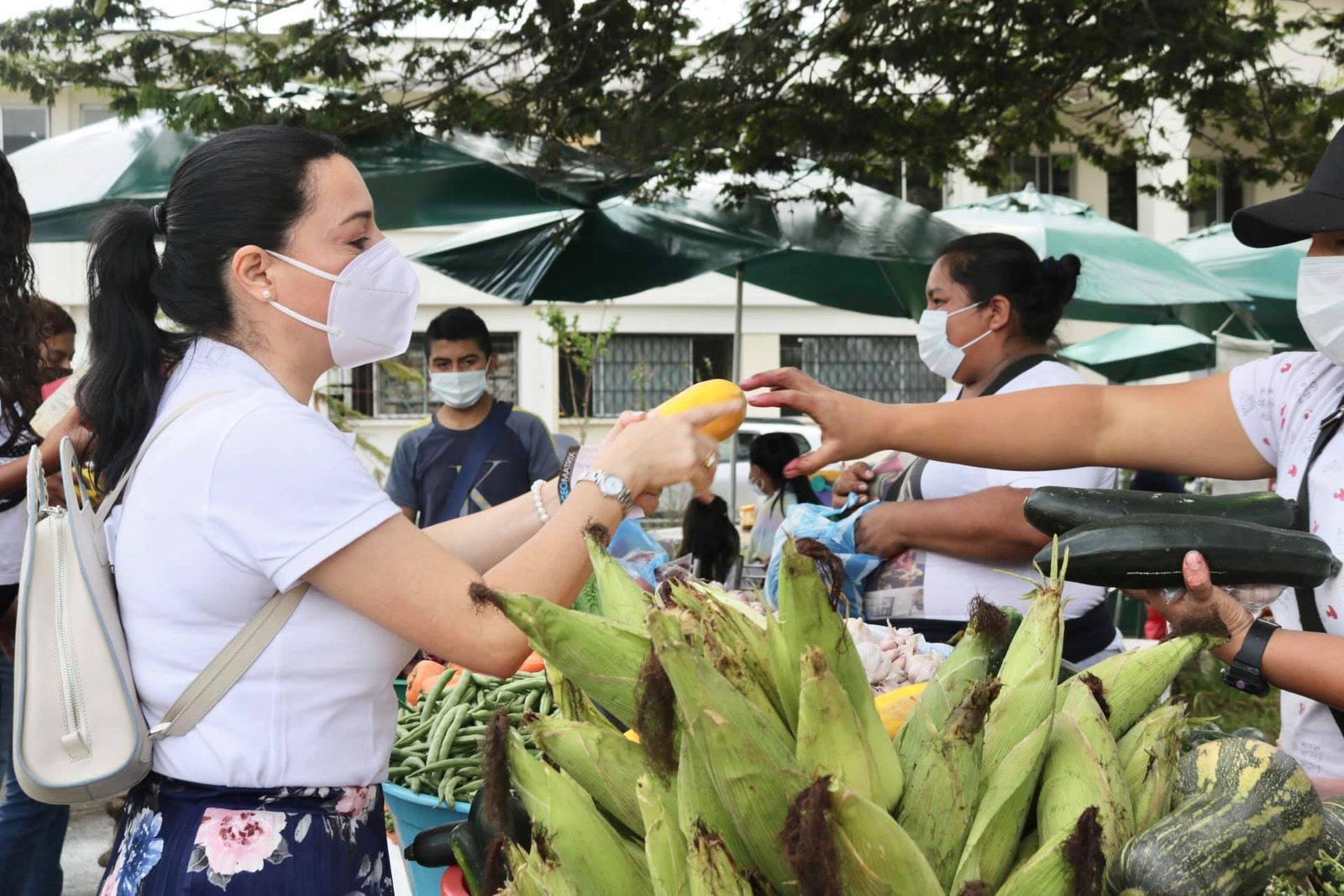 Mercado solidario en las instalaciones de la Secretaria de Agricultura y Desarrollo Rural9