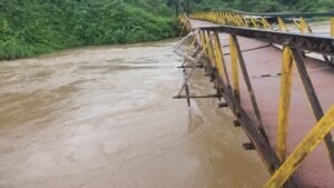 Oleada invernal en Cauca Rio Micay causa estragos en el municipio de Lopez de Micay