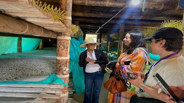 Popayán Fashion Week 2024 se internacionaliza con la participación de compradores de Costa Rica y México