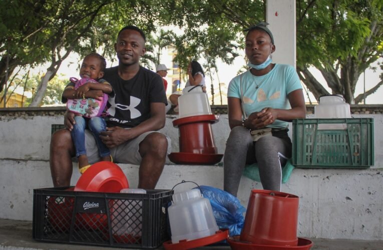 «Producción de alimentos en los predios de las familias caucanas»