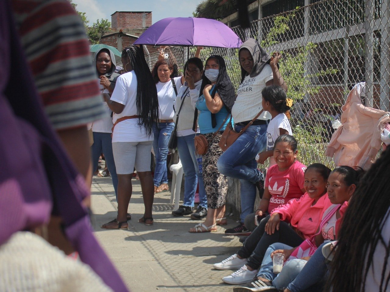 Producción de alimentos de los predios de las familias caucanas3