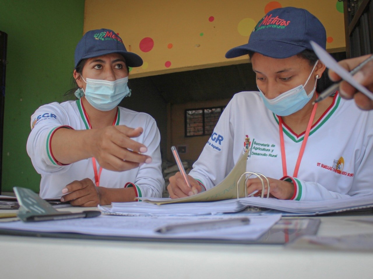 Producción de alimentos de los predios de las familias caucanas6