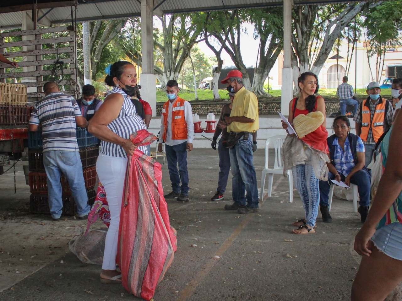 Producción de alimentos de los predios de las familias caucanas8