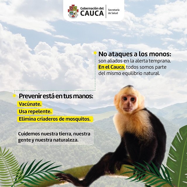 Protege tu vida - Tres acciones clave para prevenir la fiebre amarilla en el Cauca