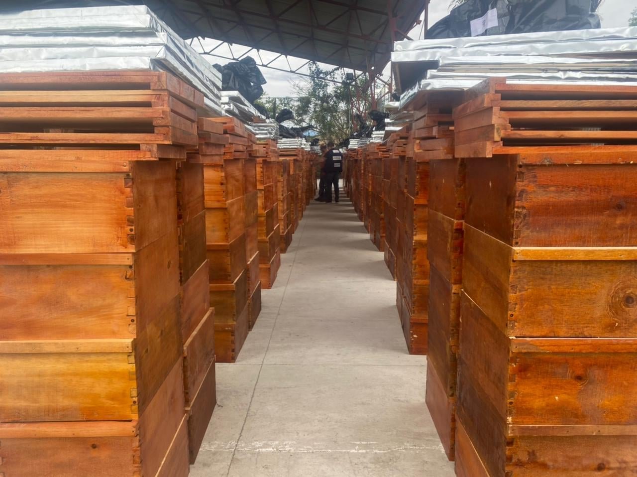 Proyecto de fortalecimiento de la cadena apícola en el Cauca1