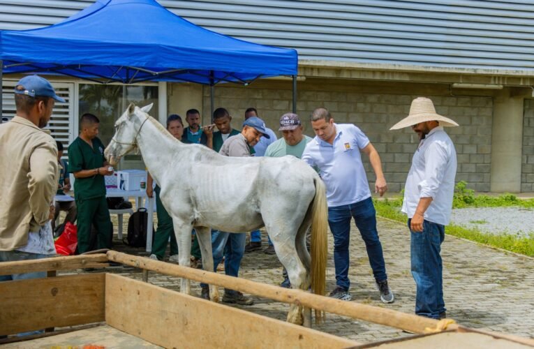 🐴 Futuro Digno: Quilichao Avanza en la Consolidación de Política Pública para la Sustitución de Vehículos de Tracción Animal