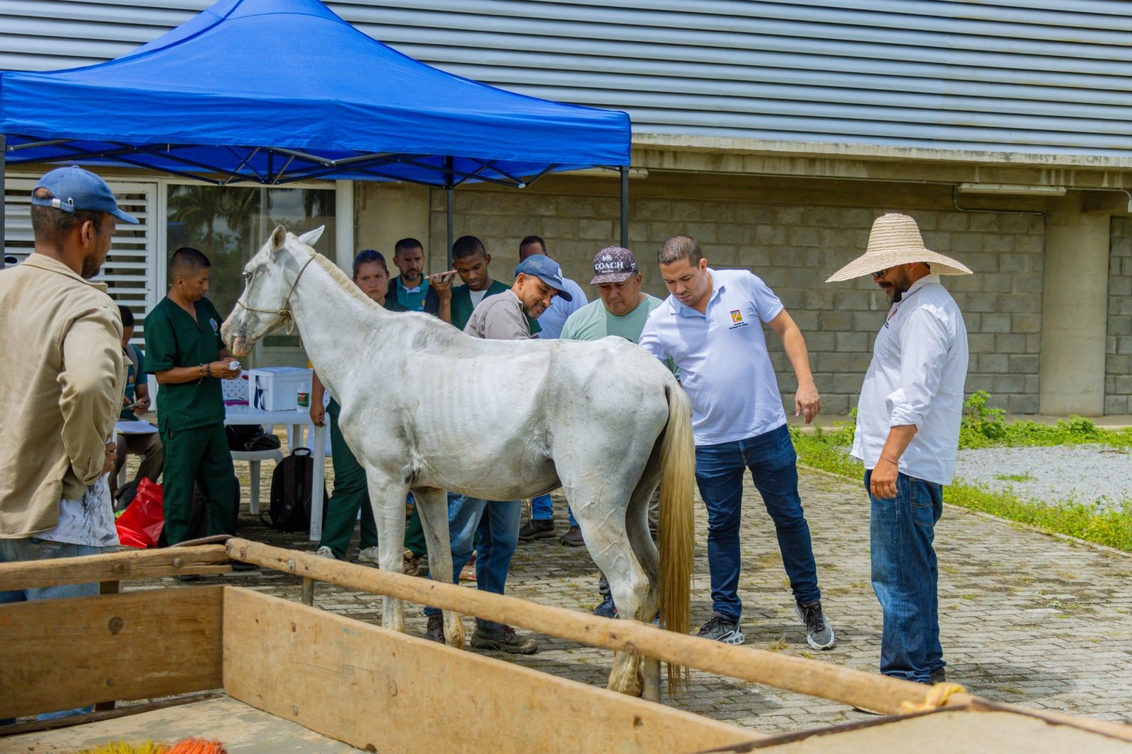 Quilichao Avanza en la Consolidacion de Politica Publica para la Sustitucion de Vehiculos de Traccion Animal