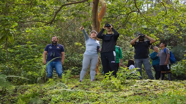 Quilichao brilló en el Global Big Day Un paraíso para las aves y los amantes de la biodiversidad