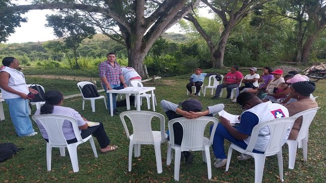 Quilisalud y PIC Documentan Saberes y Usos de Plantas Medicinales en 20 Territorios
