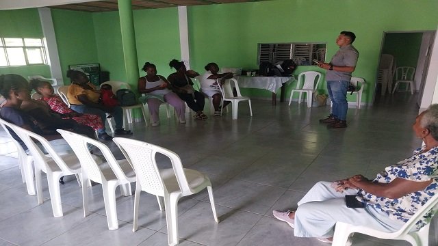 Quilisalud y PIC Documentan Saberes y Usos de Plantas Medicinales en 20 Territorios