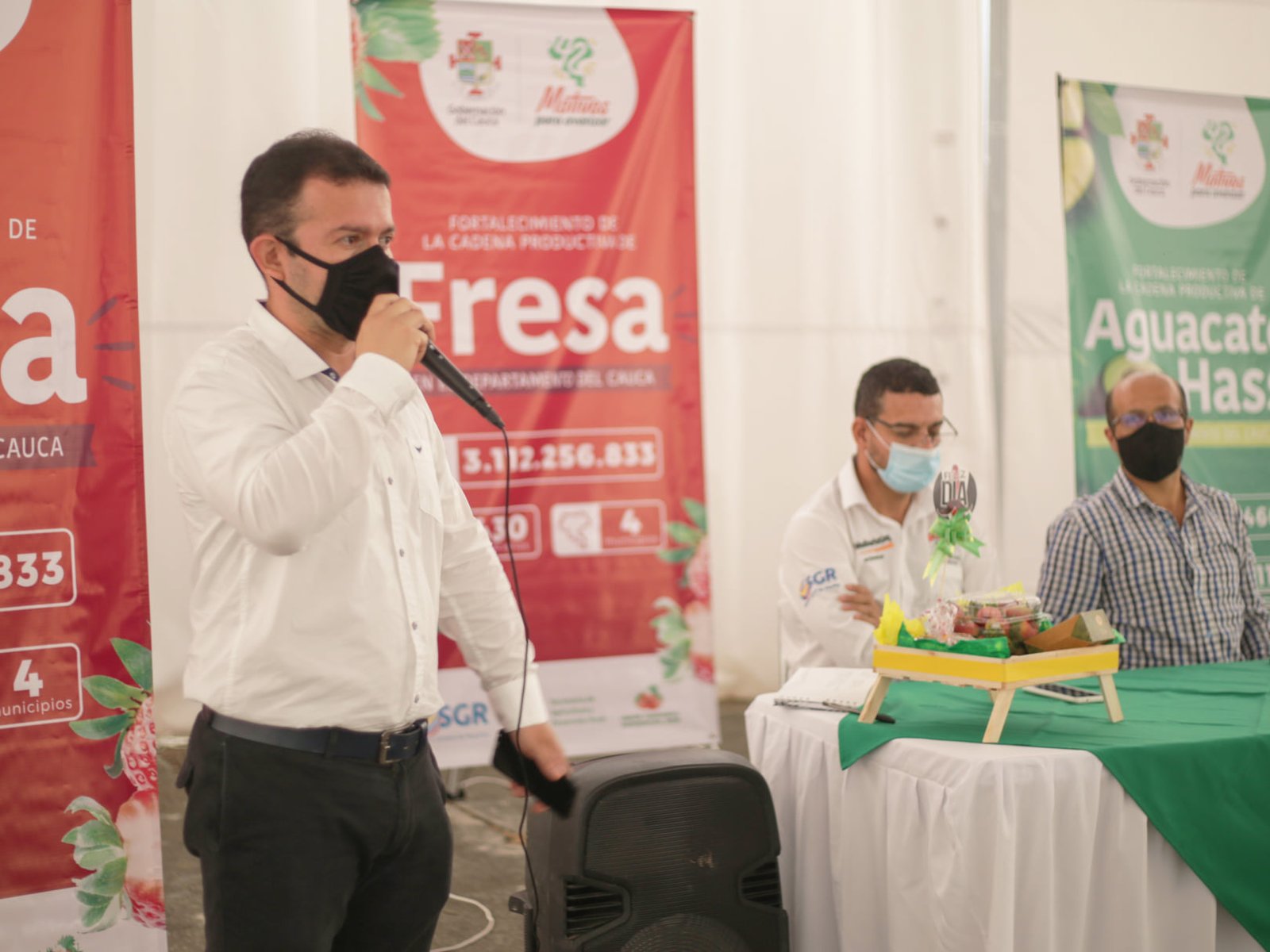 Reactivación y fortalecimiento de las cadenas productivas de aguacate hass y fresa en el cauca2