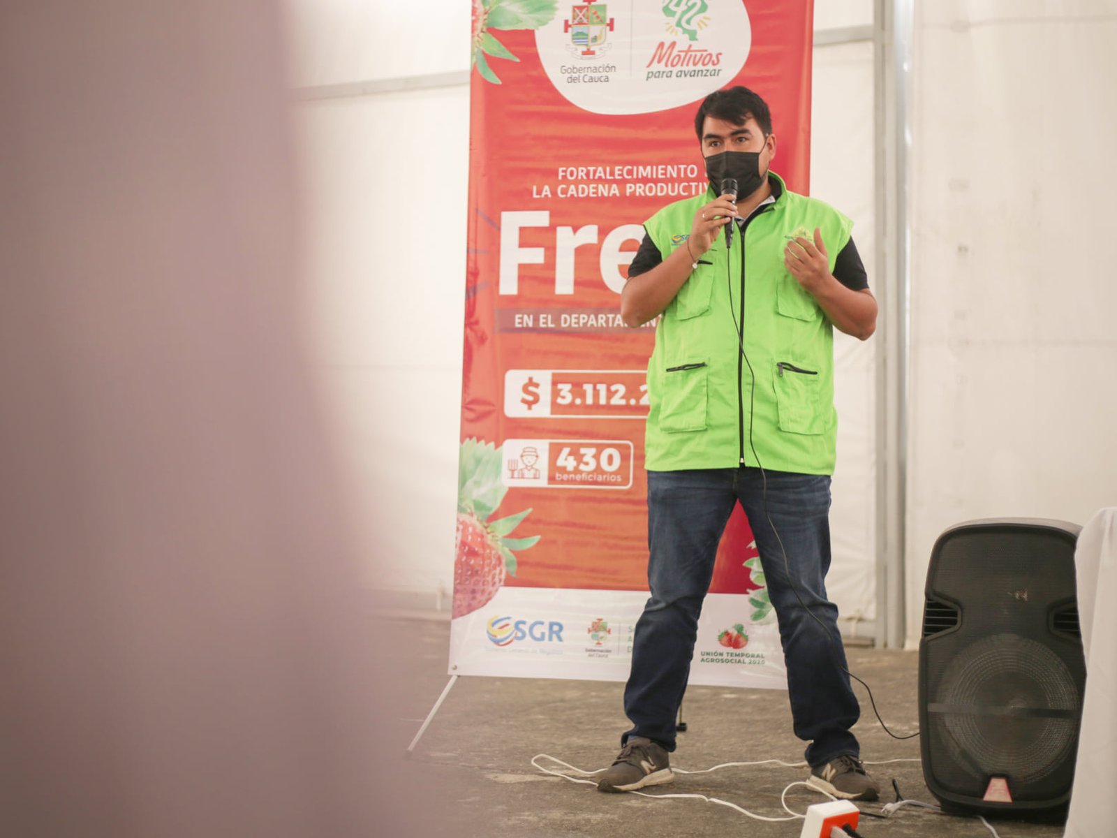 Reactivación y fortalecimiento de las cadenas productivas de aguacate hass y fresa en el cauca3