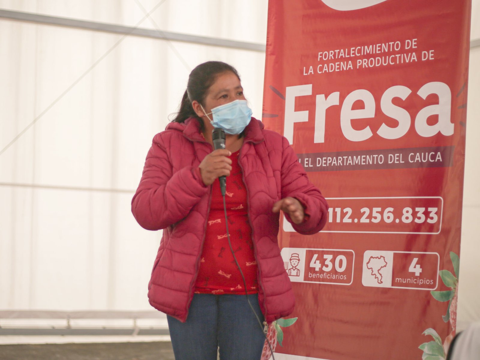 Reactivacion y fortalecimiento de las cadenas productivas de aguacate hass y fresa en el cauca5