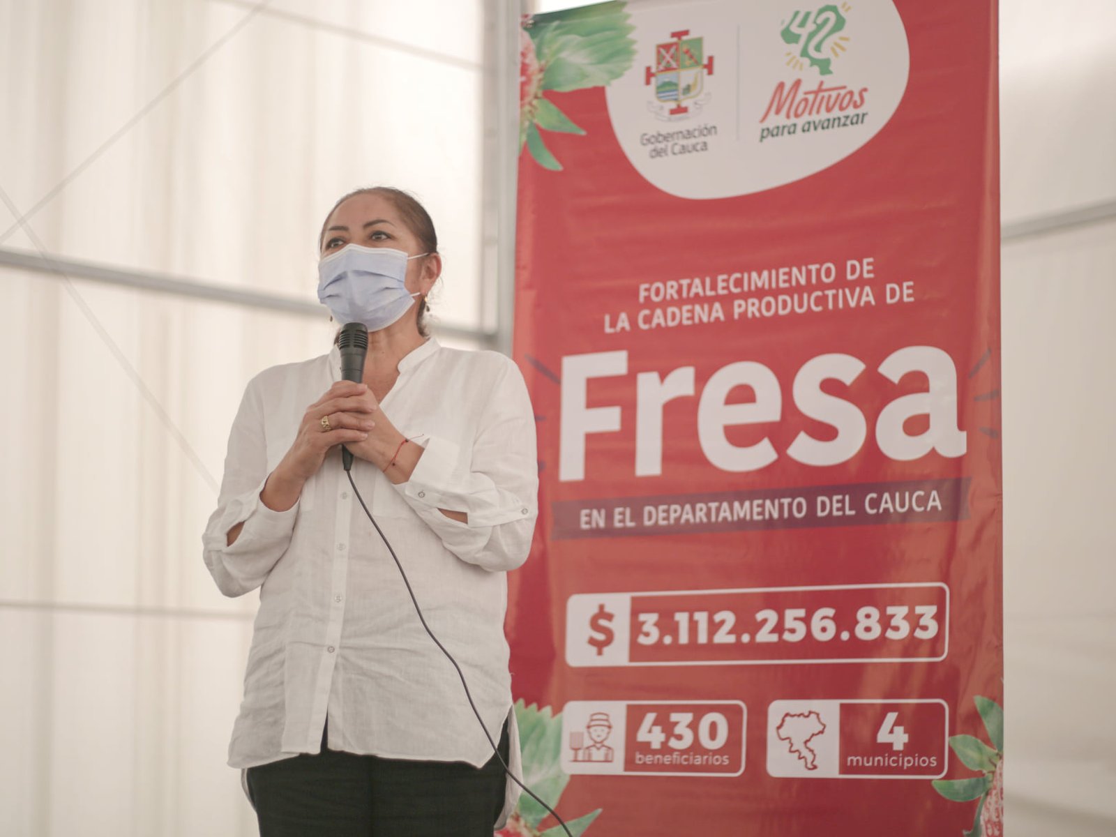 Reactivación y fortalecimiento de las cadenas productivas de aguacate hass y fresa en el cauca6