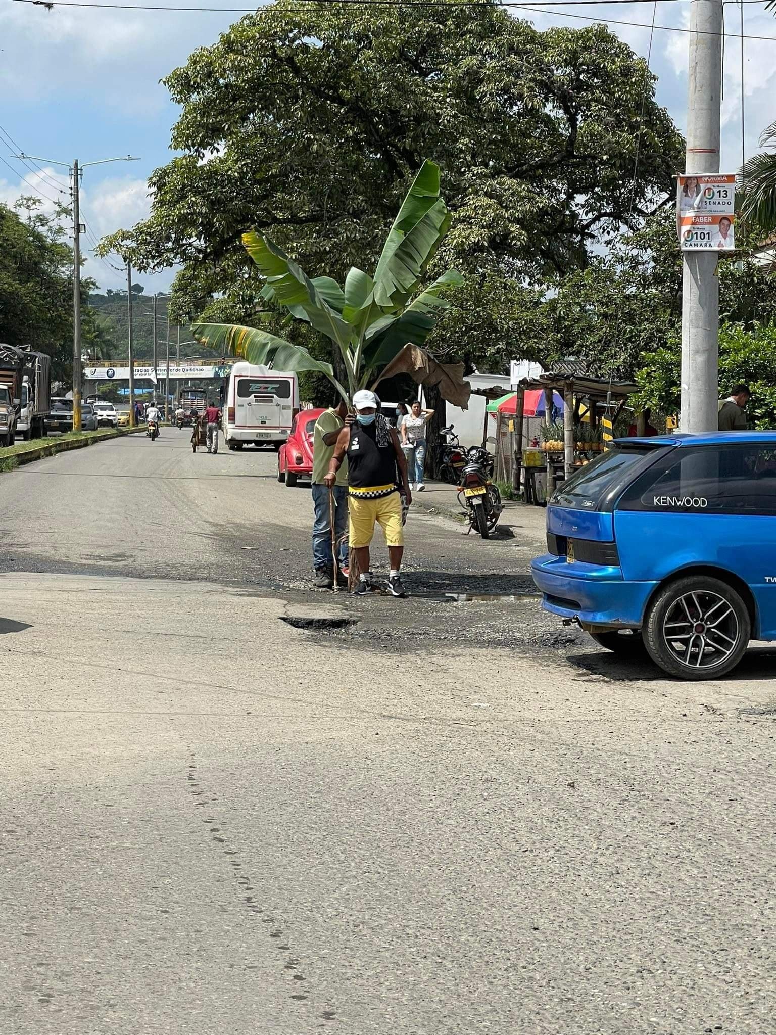 SANTANDER DE QUILICHAO SE CONVERTIRA EN UN PLATANAL