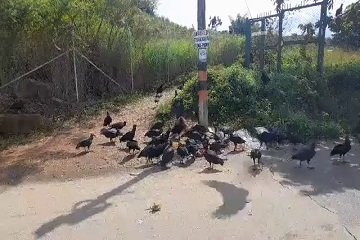 Se hace un llamado a la comunidad para hacer un buen manejo de los residuos sólidos