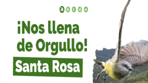 Santa Rosa, Cauca, primer puesto en avistamiento de aves a nivel nacional