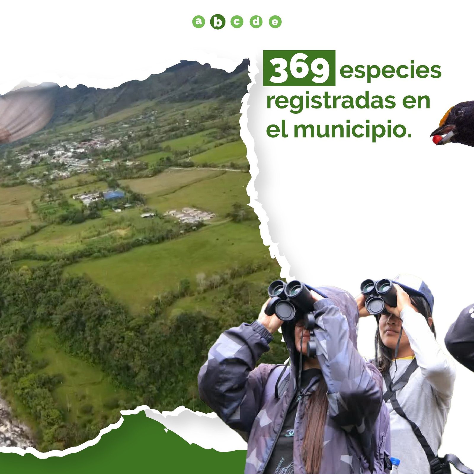 Santa Rosa, Cauca, primer puesto en avistamiento de aves a nivel nacional