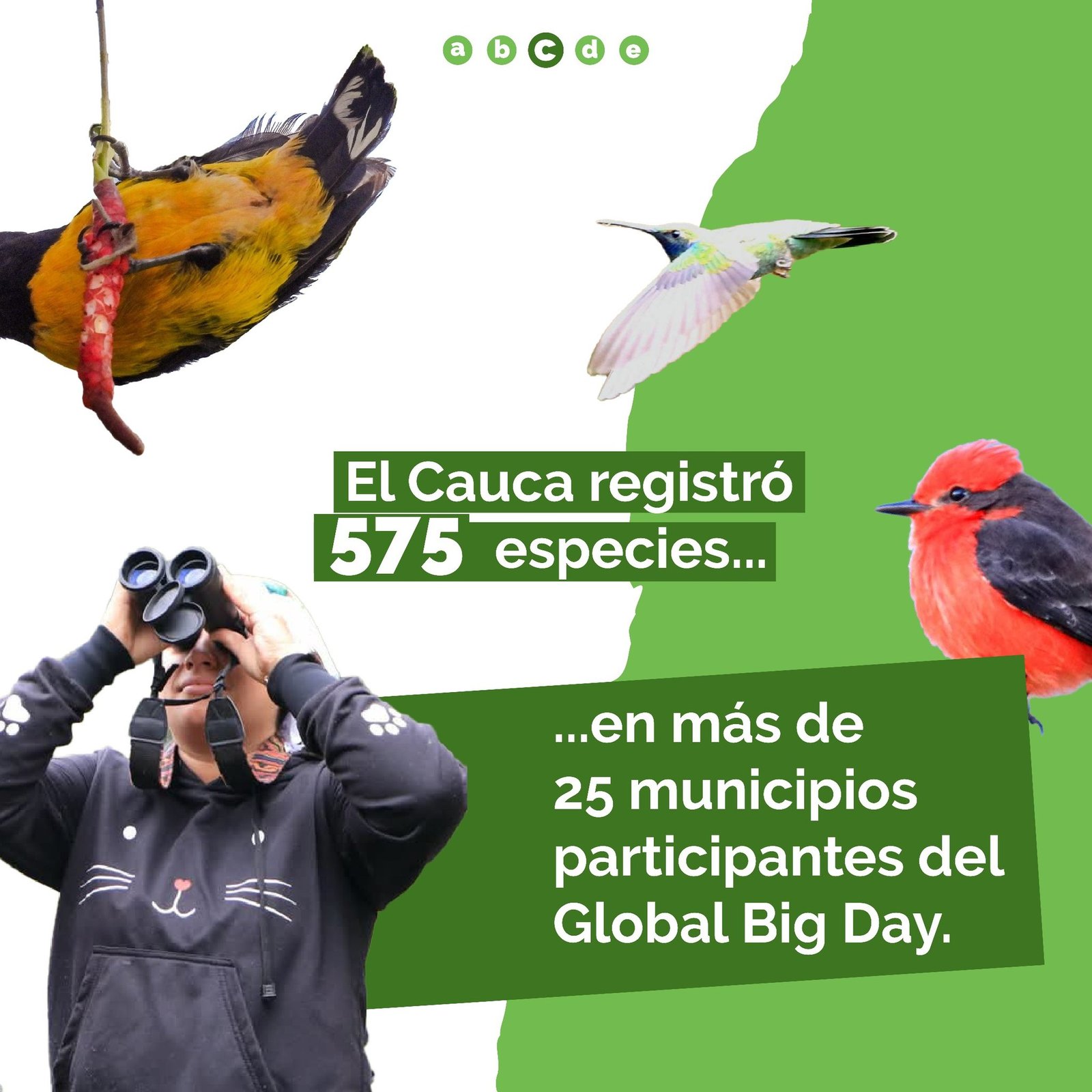 Santa Rosa, Cauca, primer puesto en avistamiento de aves a nivel nacional