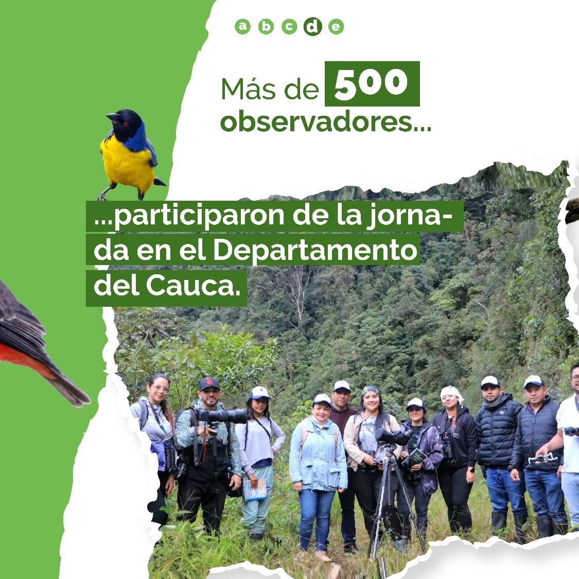 Santa Rosa, Cauca, primer puesto en avistamiento de aves a nivel nacional