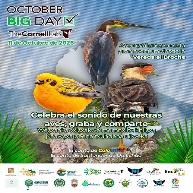 Santander de Quilichao Se Une a la Celebración Mundial #OctoberBigDay en la Vereda El Broche