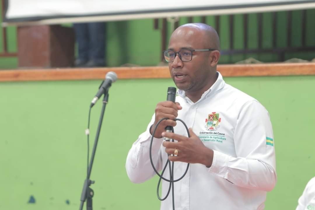 Se fortalece el cultivo de piña en el norte del cauca - Gobernacion del Cauca4