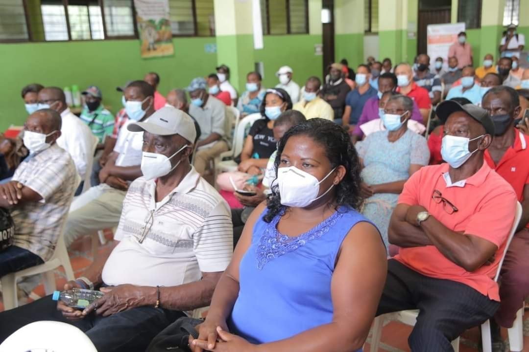 Se fortalece el cultivo de piña en el norte del cauca - Gobernacion del Cauca5