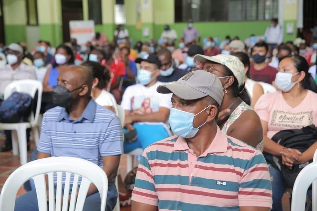 Se fortalece el cultivo de piña en el norte del cauca - Gobernacion del Cauca6