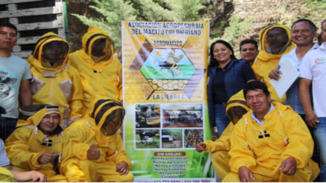 Se fortalece el sector apícola caucano con inversión desde el Gobierno Departamental