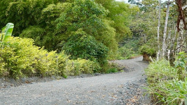 Transformando la vida de miles de payaneses de la zona rural con mejores vías