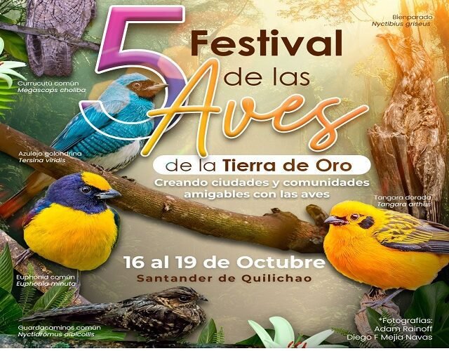 🐦 Vuelven los colores y la magia: Vive el 5º Festival de las Aves en Santander de Quilichao