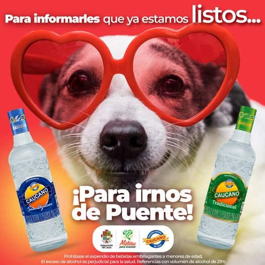 Ya estamos listos para irnos de puente Industria de Licores del Cauca