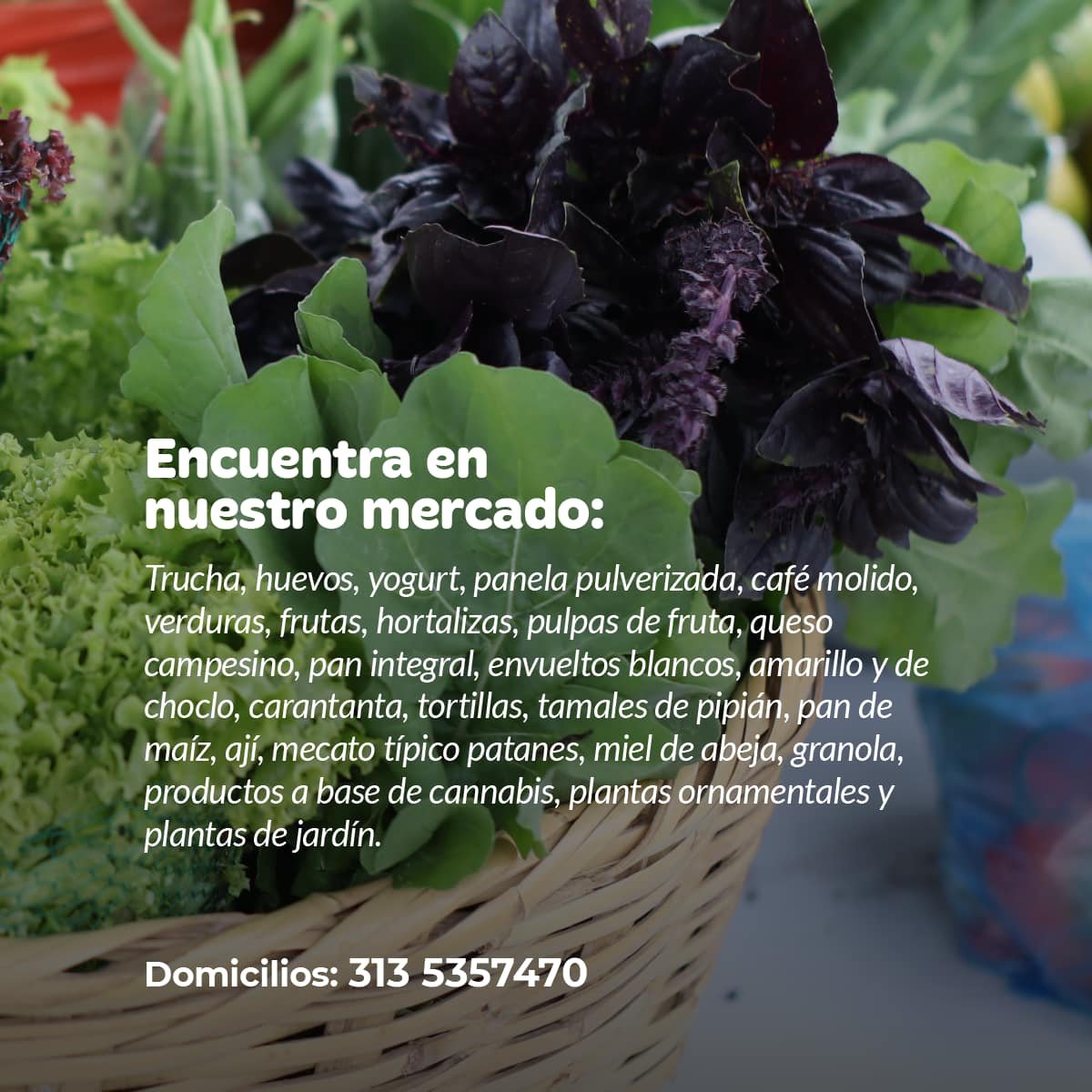 del cauca a tu mesa - octubre 071