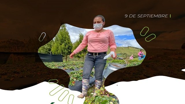 Hoy conmemoramos el día mundial de la agricultura