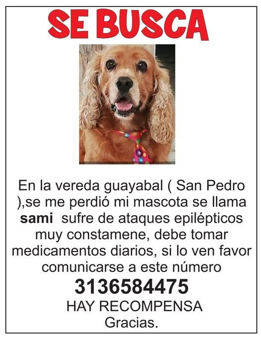 se busca