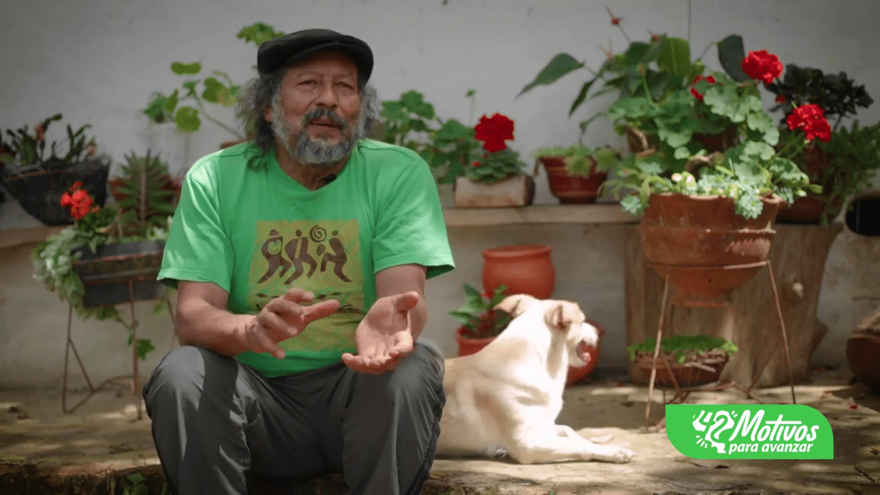 se fortalece el sector apícola en el departamento del cauca